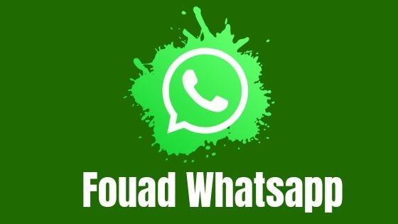 Fouad Whatsapp Download