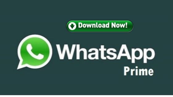 Download whatsapp prime apk gbwhatsapp prime