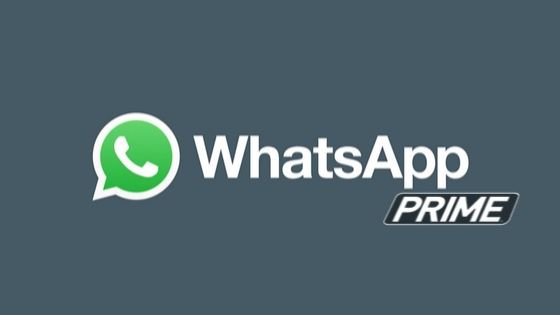 WhatsApp Prime Gb Whatsapp Prime Apk Download app